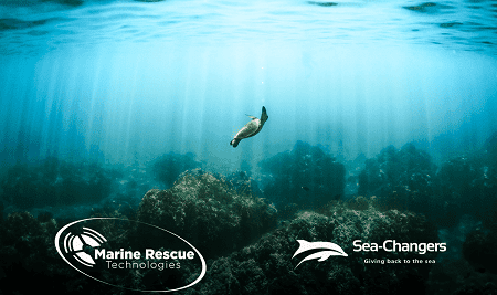 New Marine Conservation Innovation Fund Partnership with Sea Changers Charity